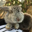 สมาชิกหมายเลข 4278441