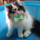 สมาชิกหมายเลข 905291