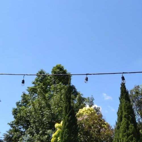 สมาชิกหมายเลข 5927200