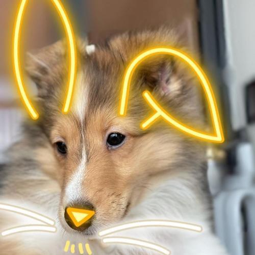 สมาชิกหมายเลข 6526061