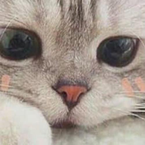 สมาชิกหมายเลข 6530828