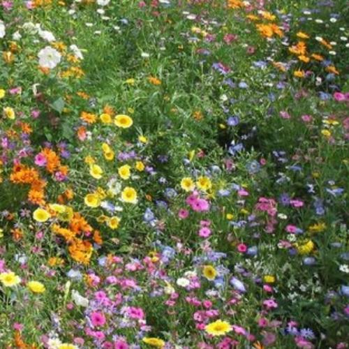 สมาชิกหมายเลข 6942289