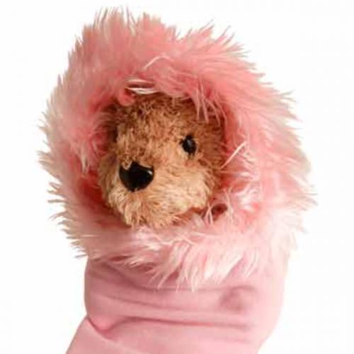 teddy bear in the box