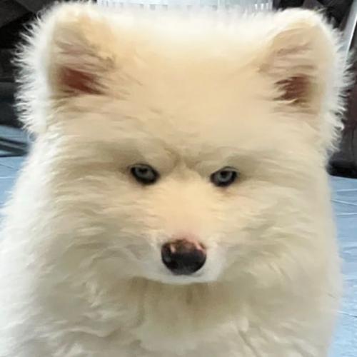 สมาชิกหมายเลข 6277188