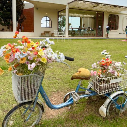 ปัญญาชนคนติดดิน