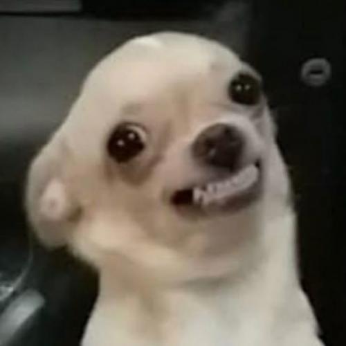 สมาชิกหมายเลข 9085453