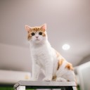 สมาชิกหมายเลข 1354783