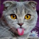 สมาชิกหมายเลข 3387896