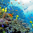 สมาชิกหมายเลข 3991343