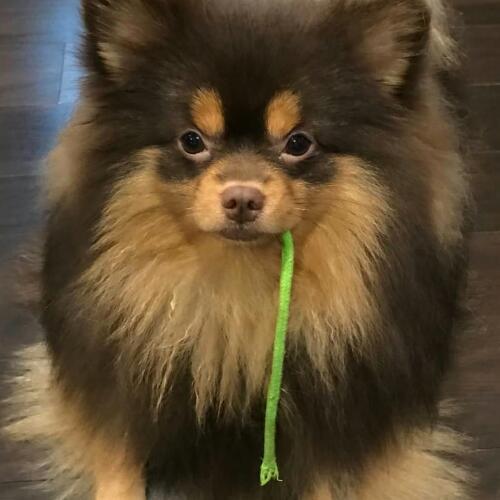 สมาชิกหมายเลข 5410242