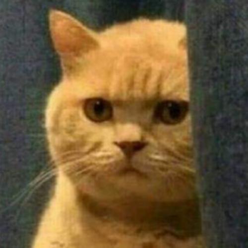 สมาชิกหมายเลข 1957835