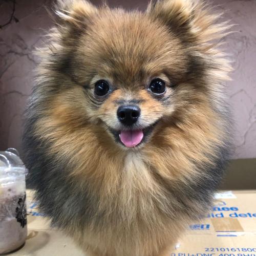 สมาชิกหมายเลข 3914580