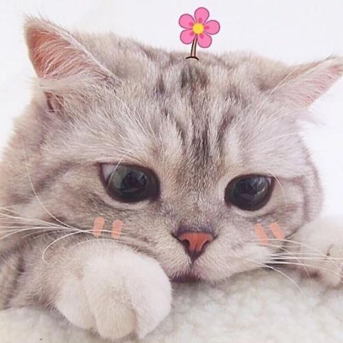 สมาชิกหมายเลข 5927534