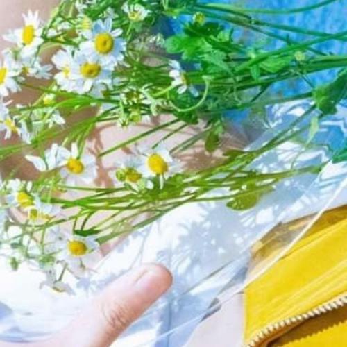 สมาชิกหมายเลข 6531669