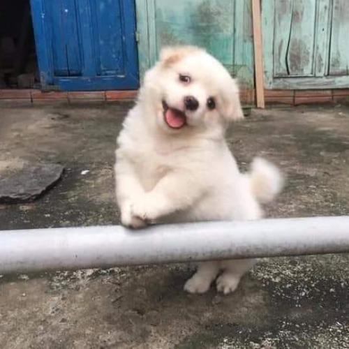 สมาชิกหมายเลข 5466377