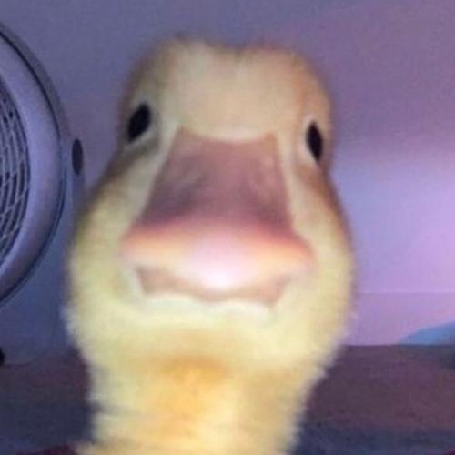 สมาชิกหมายเลข 6176875