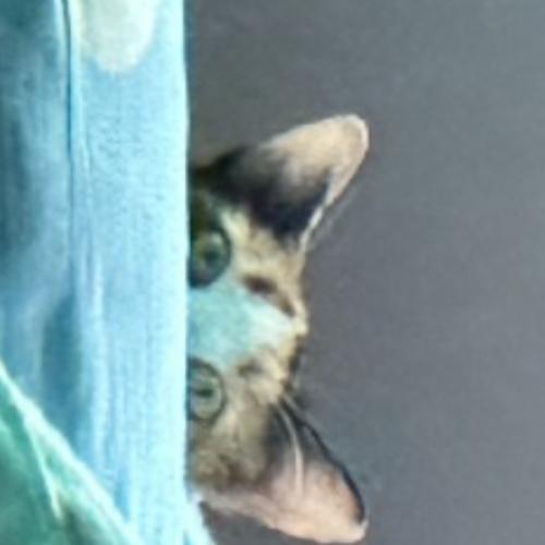 สมาชิกหมายเลข 1262422