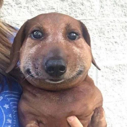 สมาชิกหมายเลข 8067182