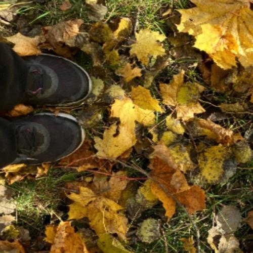 สมาชิกหมายเลข 2313890