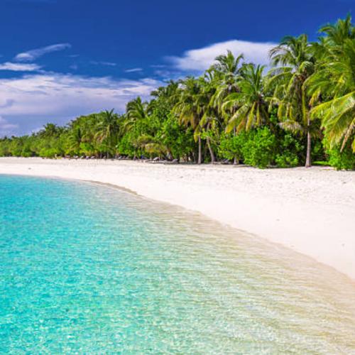 สมาชิกหมายเลข 8328771