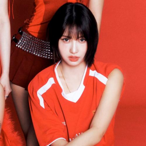 สมาชิกหมายเลข 9087468