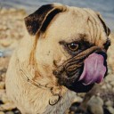 สมาชิกหมายเลข 3806347