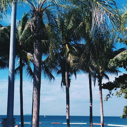 สมาชิกหมายเลข 4226663