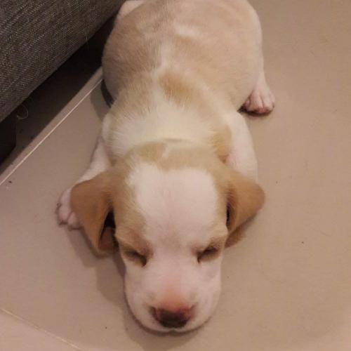 สมาชิกหมายเลข 4535449