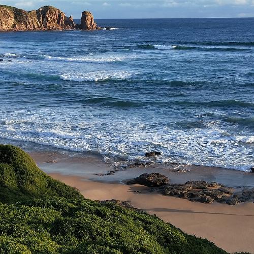 สมาชิกหมายเลข 4661119