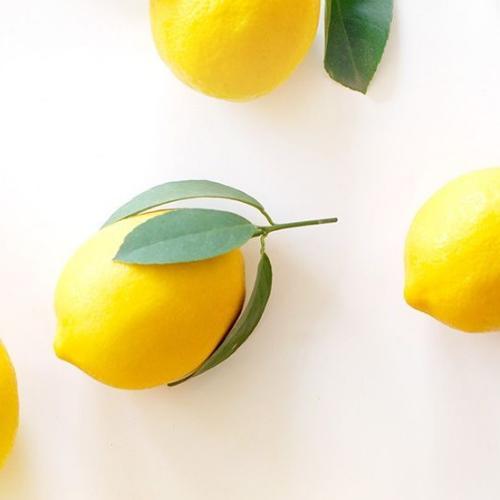 สมาชิกหมายเลข 5024540