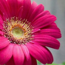 สมาชิกหมายเลข 1780105