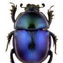 สมาชิกหมายเลข 5417096