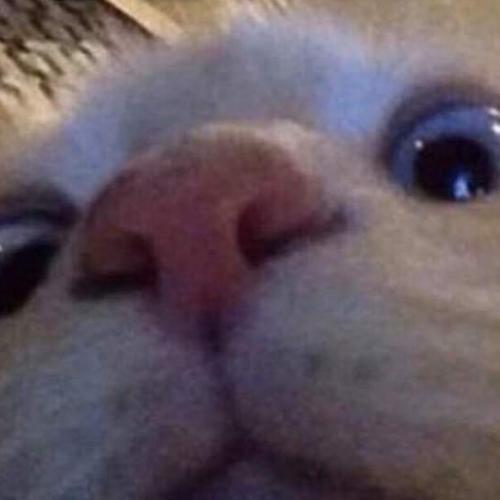 สมาชิกหมายเลข 5928157