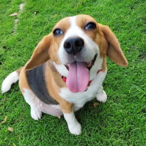 สมาชิกหมายเลข 1652035