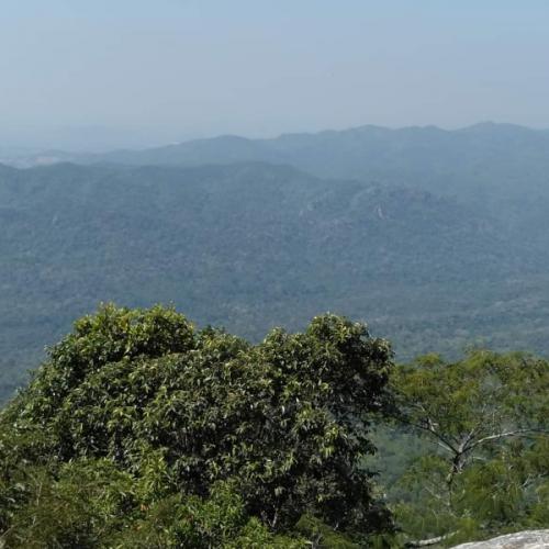 สมาชิกหมายเลข 7248593