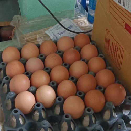 สมาชิกหมายเลข 6218464