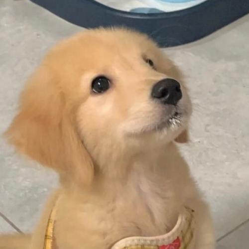 สมาชิกหมายเลข 6912694