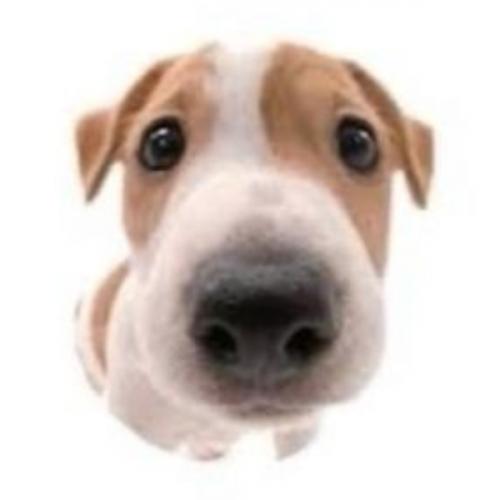 สมาชิกหมายเลข 7621659