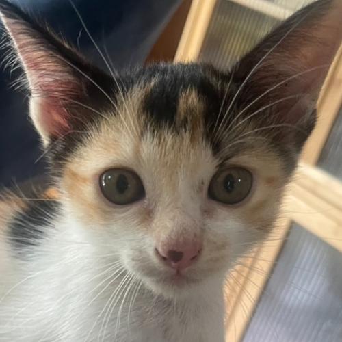 สมาชิกหมายเลข 7143939