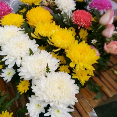 สาวเมืองโอ่ง