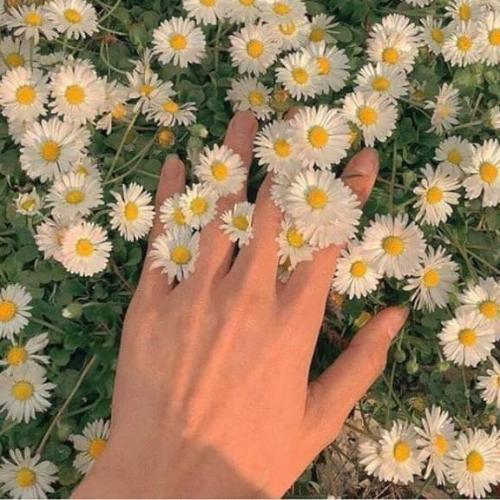 สมาชิกหมายเลข 5570422