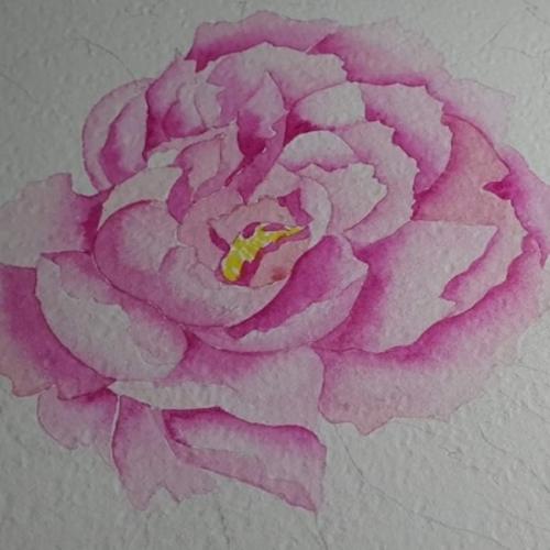 สมาชิกหมายเลข 5928581