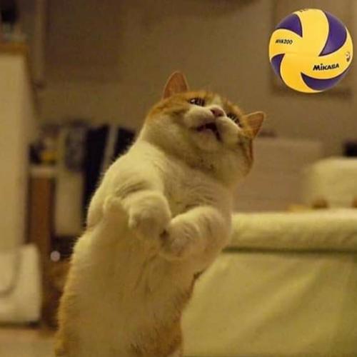 สมาชิกหมายเลข 5928751