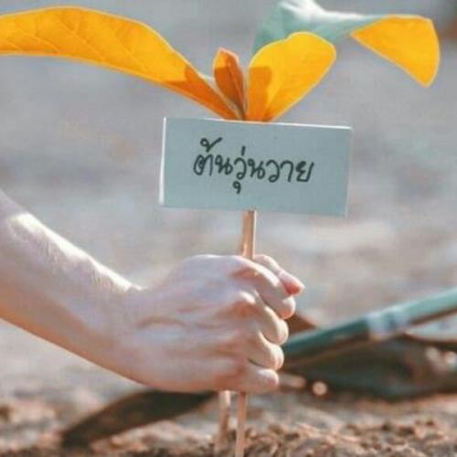 สมาชิกหมายเลข 5928763