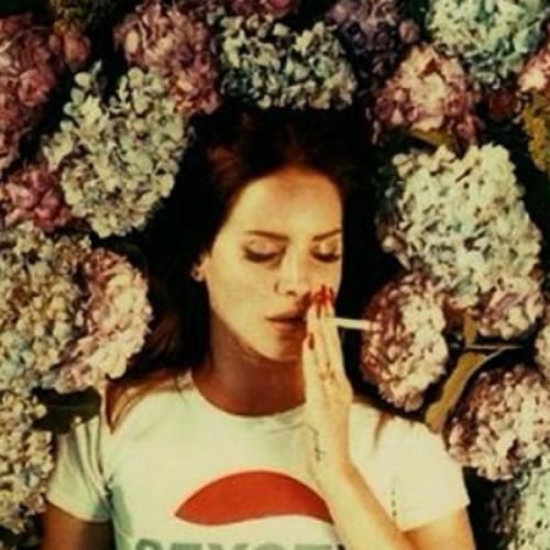 สมาชิกหมายเลข 5928853