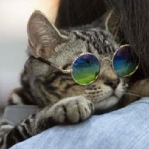 สมาชิกหมายเลข 5928855