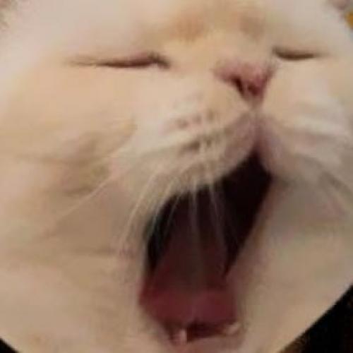 สมาชิกหมายเลข 6532573