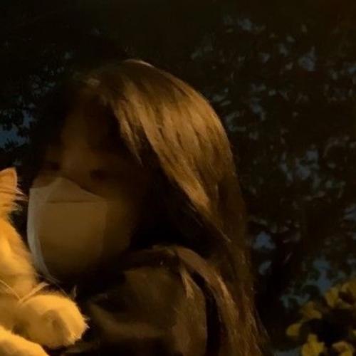 สมาชิกหมายเลข 7084431