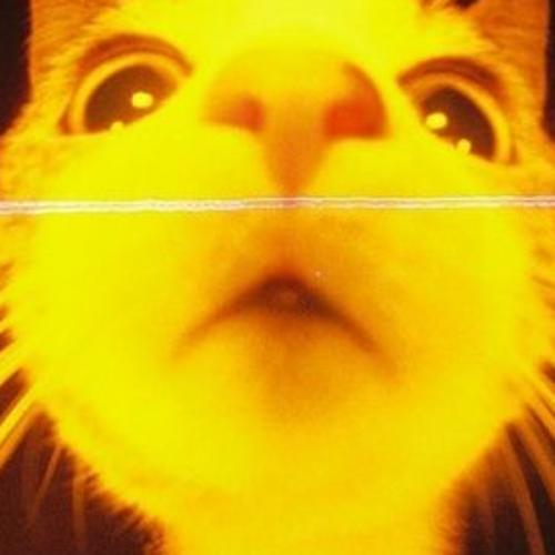 สมาชิกหมายเลข 7249666