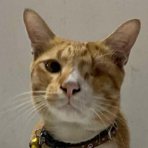 สมาชิกหมายเลข 8106272